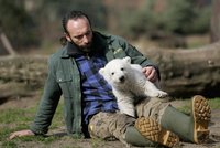 VIDEO: Poslední minuty smutného medvěda Knuta