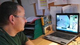 Chování Cory a mláděte na monitoru počítače sleduje zoolog Jiří Vítek