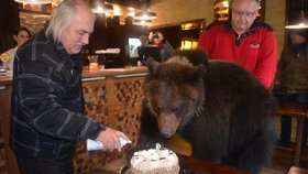 Hugo se v hospodě vyhoupl na židli a pustil se do šlehačkového harlekýna