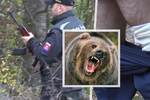 Houbaře na Slovensku napadl medvěd.