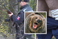 Krvelačný medvěd v Nitranském Pravně napadl a pokousal houbaře: Na místě je zásahovka!