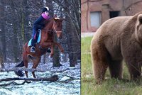 Medvěd řval na celý les! Patnáctiletou dívku zachránil splašený kůň