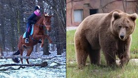 Na projížďku na koni, kdy potkala medvěda, Michala Polláková hned tak nezapomene.