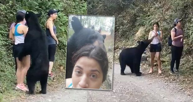 Na ženu v parku vyskočil medvěd: Neohrožená turistka si s ním udělala selfie!