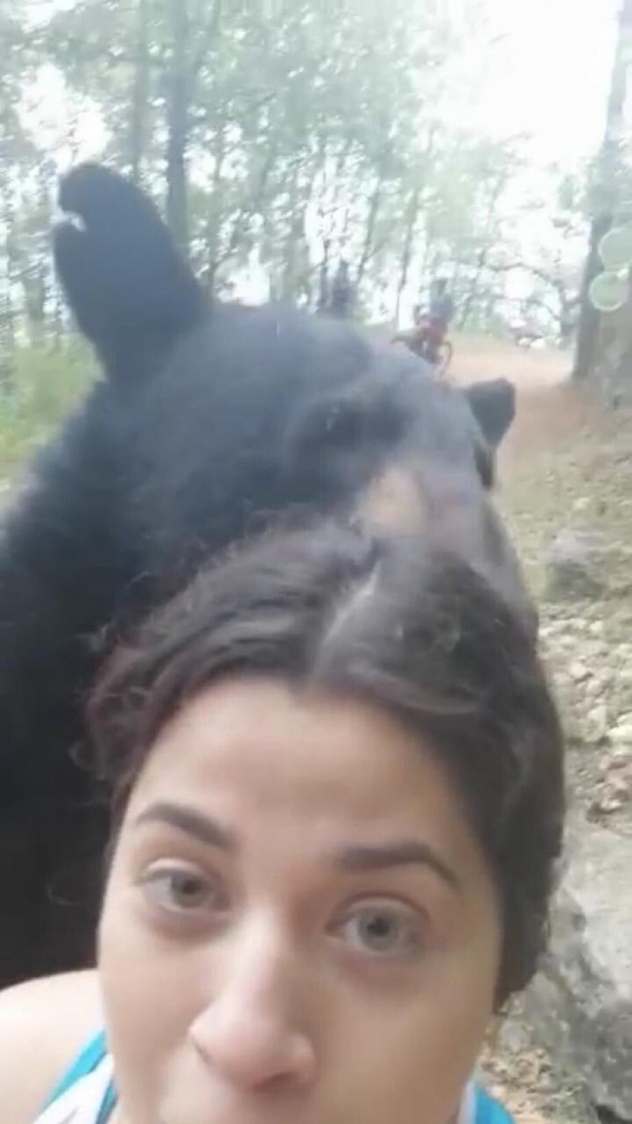 Neohroženou turistku si přišel očichat medvěd: Stihla si s ním udělat selfie