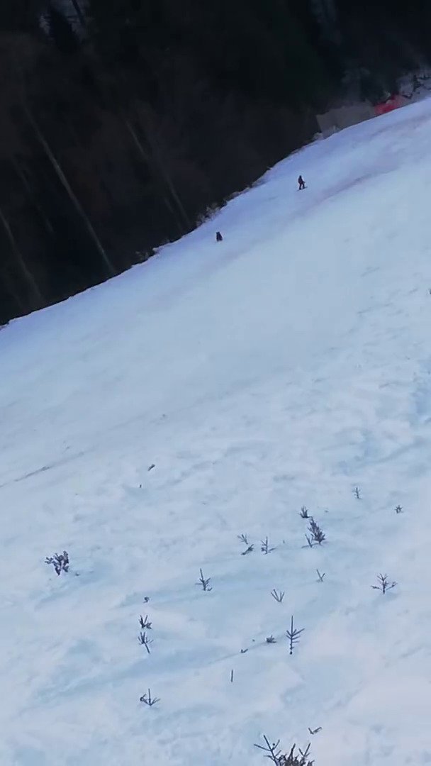 Medvěd zaútočil v lyžařském resortu.