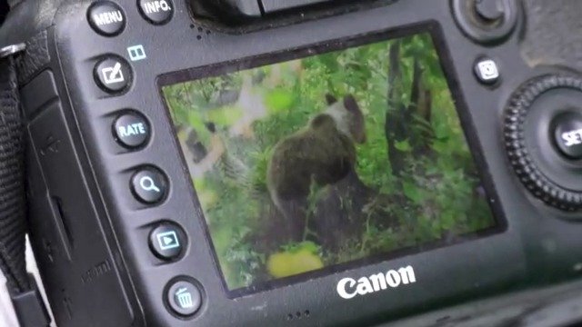 Poslední fotografie před tím, než Ivana Kňaze napadl medvěd