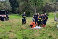 Eriku (58) v ovocném sadu u Hradiště napadla medvědice: Lehla si na zem, zachránil ji manžel, popsala starostka