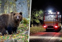 Medvěd u Detvy napadl na procházce Jána (†59): Rozsápaného v křoví ho našel jeho syn!