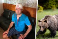 Záchranáře napadl během služby medvěd! Muž utrpěl tržnou ránu na hlavě