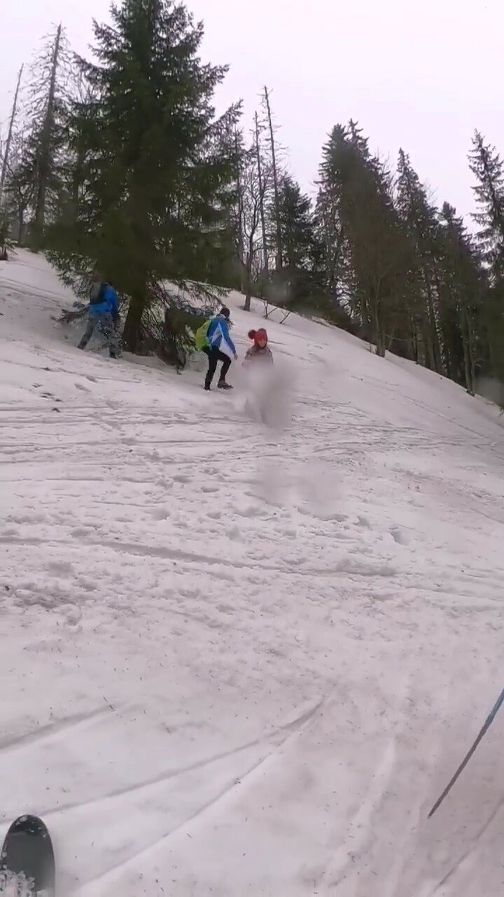 Medvěd v Nízkých Tatrách na Slovensku nekontrolovatelně ohrožuje turisty.