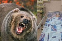 Drama v zoologické zahradě: Máma hodila holčičku (3) do výběhu medvěda