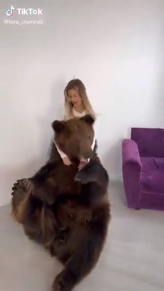 TikTokerka Valeria Tatarintseva do svého bytu vzala obřího medvěda, aby rozveselil jejího syna.