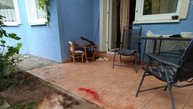 Medvěd v obci Mošovce na zahradě domu zabil psa.