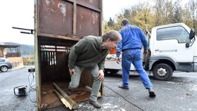 Odchytová klec, kterou ochránci přírody nainstalovali na Zlínsku, aby polapili „zabijáckého“ medvěda.