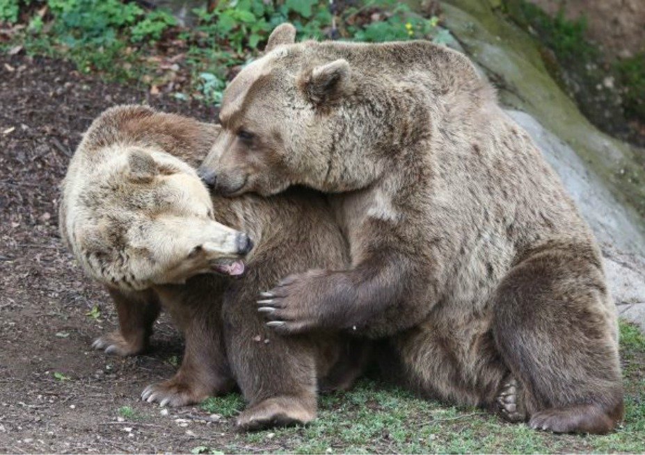 Zoologická zahrada Plzeň