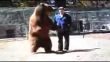 Šokující video: Ochočený medvěd zakousl krotitele