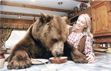 Britští manželé o výchově 2,5 metru vysokého grizzlyho: Hercules byl jako náš syn!