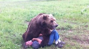 Ošetřovatel se mazlí s grizzlym jako s plyšákem 