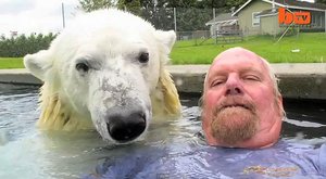 Protože je horko: Chlápek se koupe s ledním medvědem
