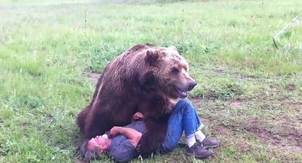 Ošetřovatel se mazlí s grizzlym jako s plyšákem