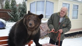 Jaroslav Kaňa s Hugem nacvičuje, jak Místo medu teď správně sedět. méďa vánoční dostává cukroví.