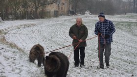 Součástí přípravy na fifi lmování je i procházka po okolí. Huga a Báru vyvedli chovatel Jaroslav Kaňa a jeho kolega, producent Jiří Rámeš.