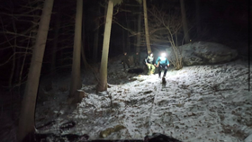 Na Slovensku zaútočila medvědice.