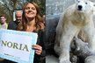 Lední medvídě v Brněnské zoo dostalo od tenistky Lucie Šafářové jméno Noria
