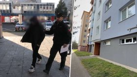 Policie vede muže, který se pokusil o založení požáru v bytovce v obci Medzilaborce