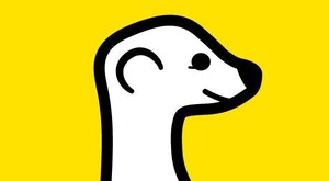 Sláva surikatě! Žhavá aplikace Meerkat přináší živé video přenosy 