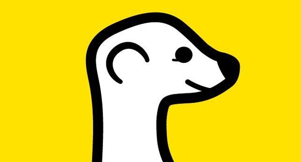 Sláva surikatě! Žhavá aplikace Meerkat přináší živé video přenosy