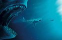 Do kina přichází obrovský pravěký žralok megalodon