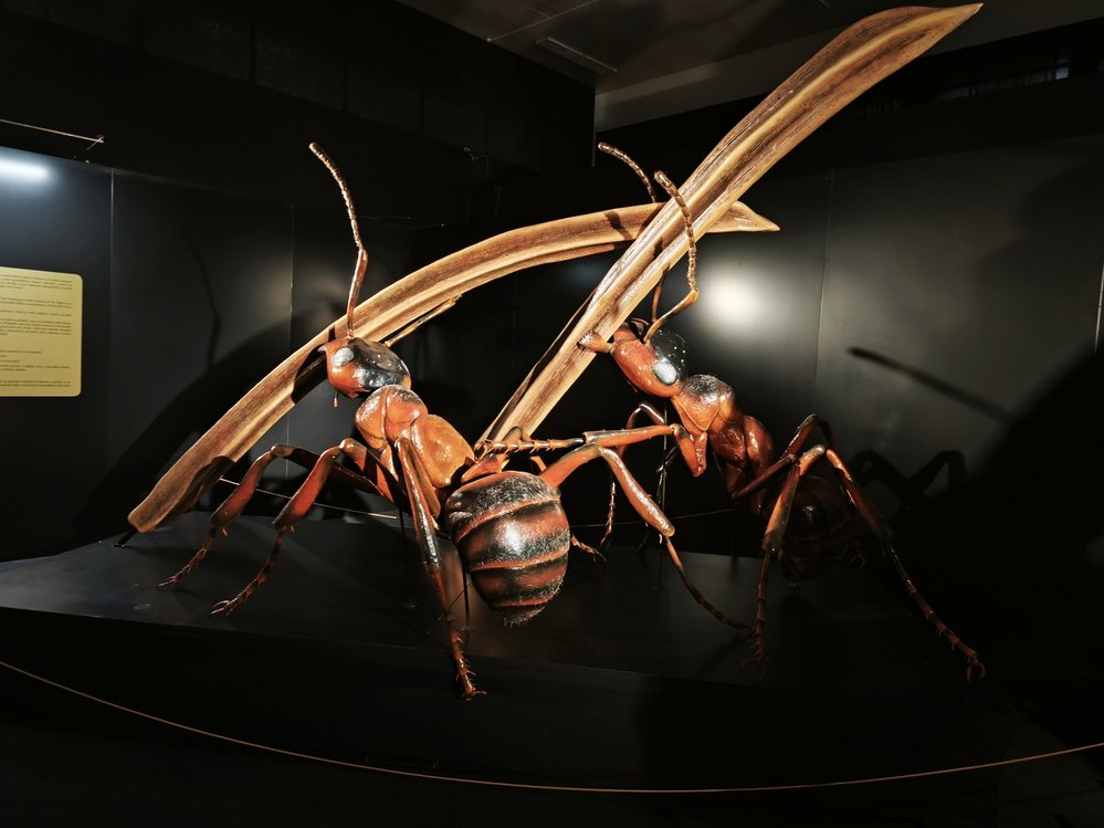 Extrémně zvětšený hmyz výstavy MegaBrouci