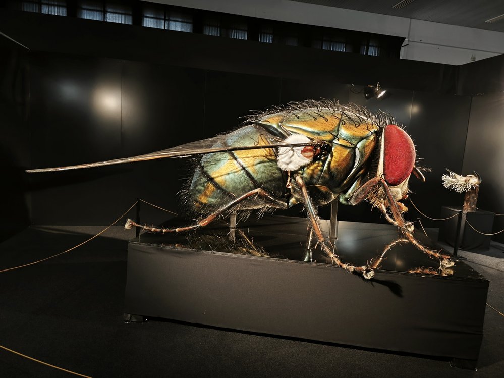 Extrémně zvětšený hmyz výstavy MegaBrouci
