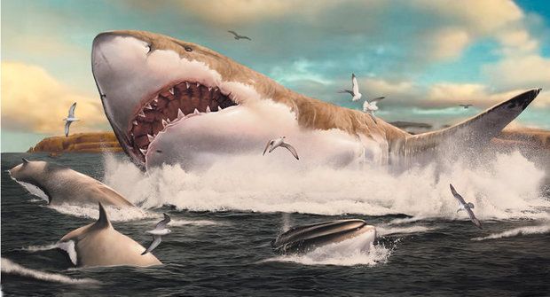 Megalodon: Největší žralok všech dob
