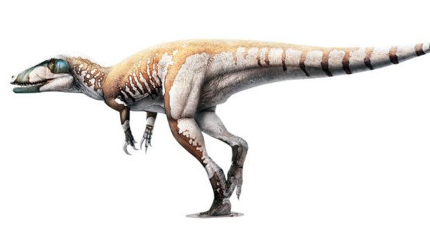 Megaraptor objeven na nečekaném místě
