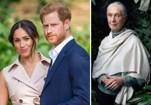 Meghan má Harryho pořádně zpracovaného, tvrdí britská primatoložka.