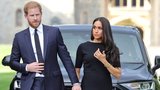 Po Williamovi zveřejnil nové snímky i Harry! Zase se schovává za Meghan