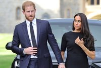 Po Williamovi zveřejnil nové snímky i Harry! Zase se schovává za Meghan