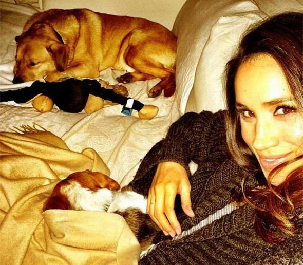 Meghan Markle a její psi Bogart a Guy