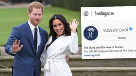 Harry a Meghan jsou rekordmany.