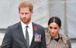 Těhotná Meghan prožívá dramatické chvíle! Nejdříve nouzové přistání, teď evakuace kvůli požáru