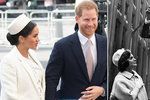 Vévodkyně Meghan to schytala za »kalkul«:  Kopíruje Jackie Kennedyovou?!