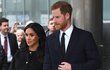 Princ Harry s Meghan.