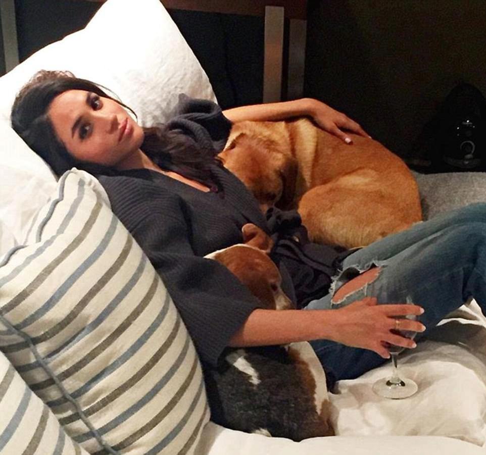 Co uniklo z Instagramu Meghan Markle: S labradorem Bogartem.