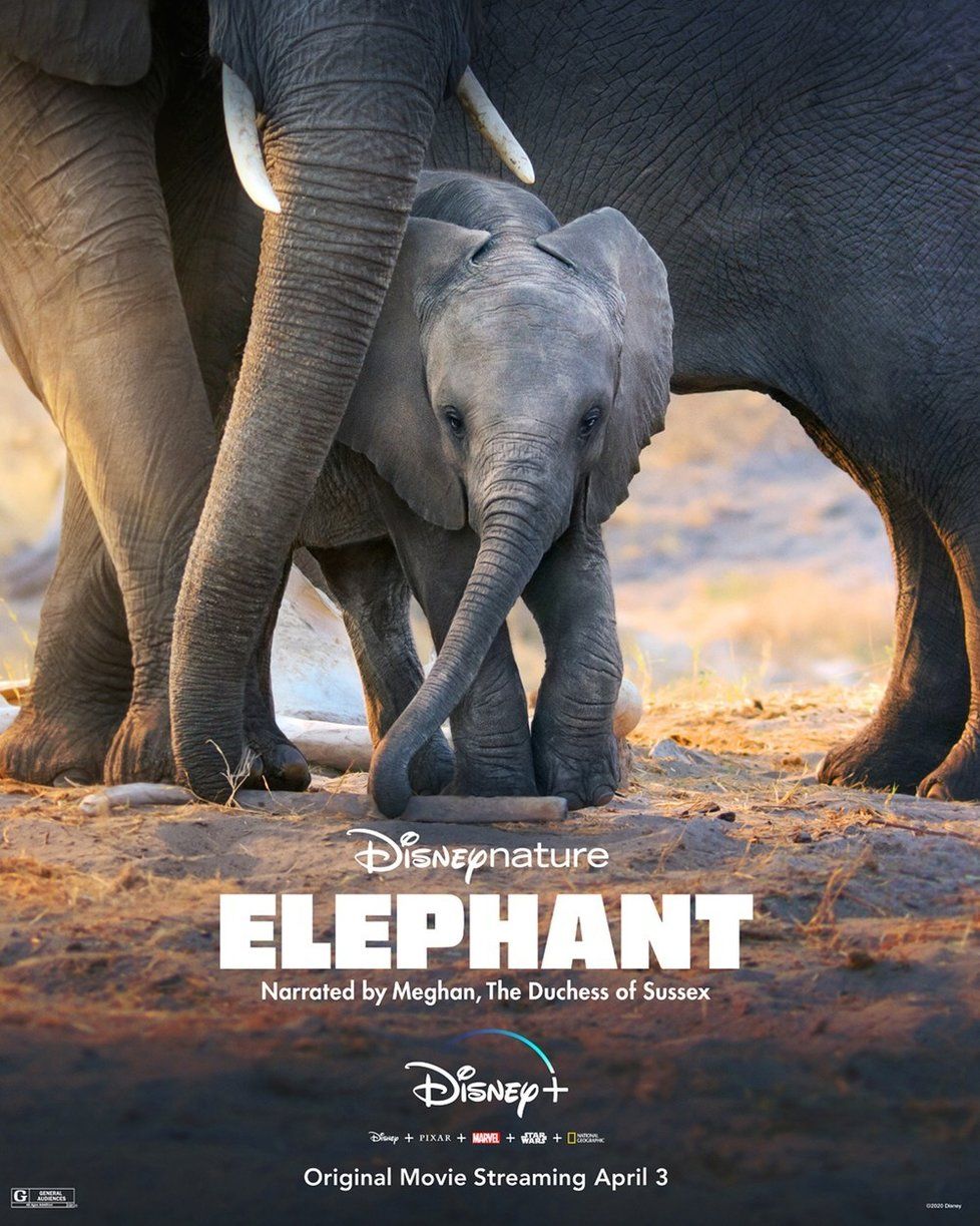 Elephant - Disneyho nový film, který Meghan nadabovala.
