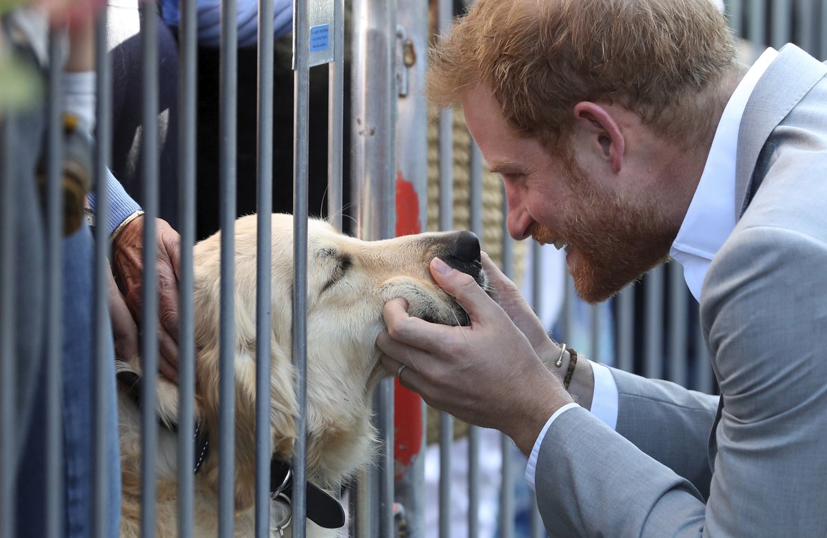 Princ Harry na návštěvě hrabství Sussex