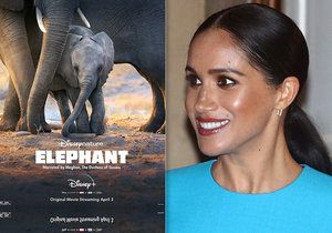 Meghan namluvila dokument o slonech