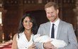 Meghan Markle a princ Harry